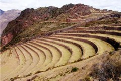 MESA Luisa - Colombia