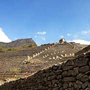 Custodio PEDRAZA - Colombia